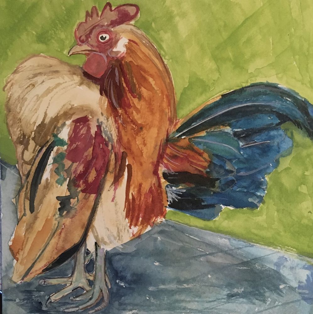 A painting of a bantam chicken with a dramatically puffed up chest