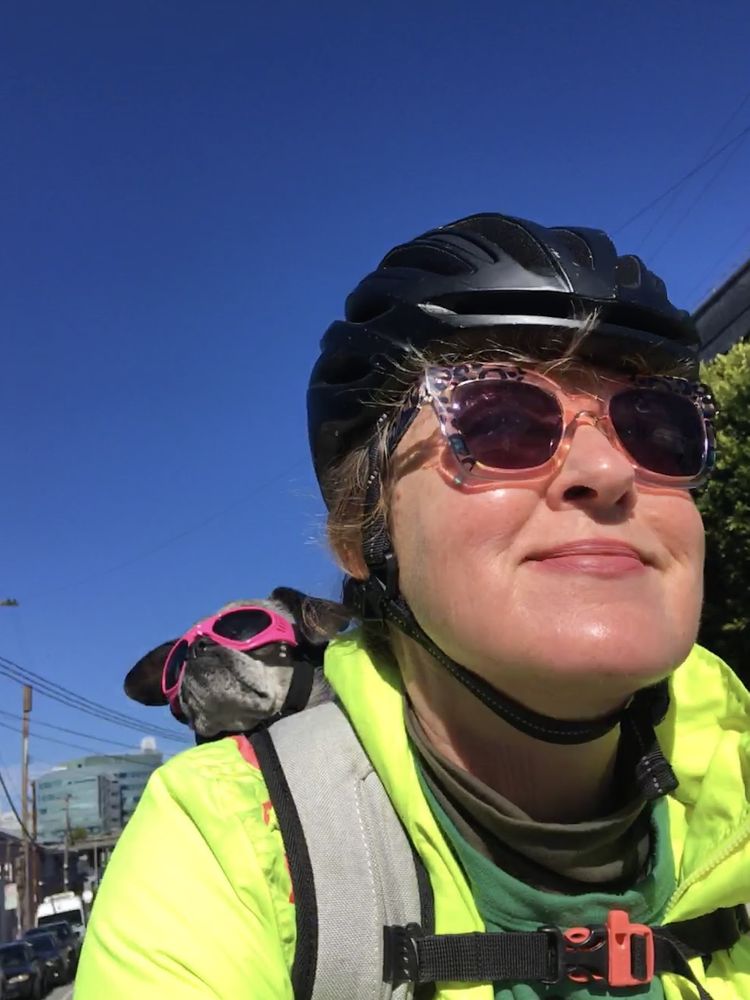 A salty chug wearing pink doggles in a bike backpack attached to Erika Hall wearing a high viz jacket pink sunglasses and a bike helment. Blue sky in the background. 
