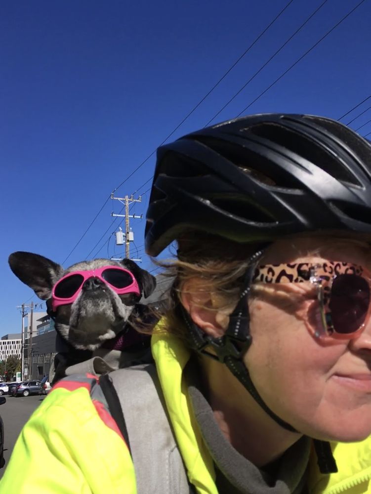 on a clear day with a blue sky, a salty chug, one ear up wearing pink doggles attached to Erika Hall  in a high viz jacked and a bike helmet and pink patterned sunglasses