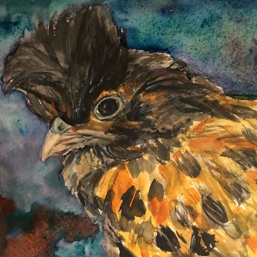 A painting of a chicken with a black tufted head
