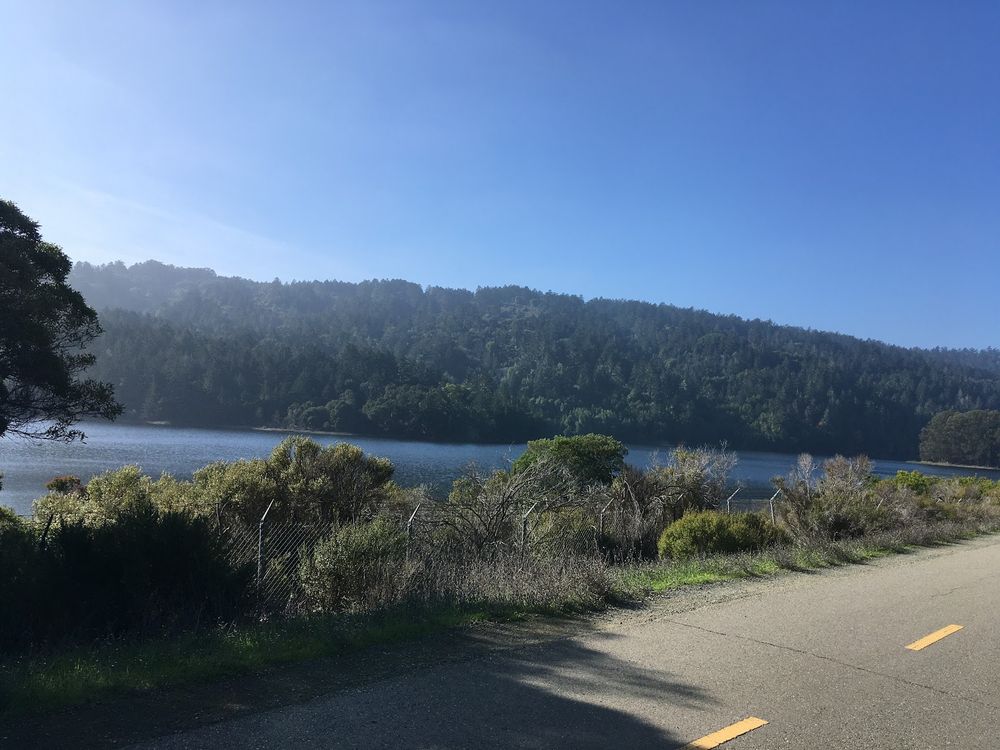 Bike path next to Lower Crystal Springs Reservoir in San Mateo County on a sunny late November day. I've only seen this from 280 before this. It's a really really nice multiuse path. 