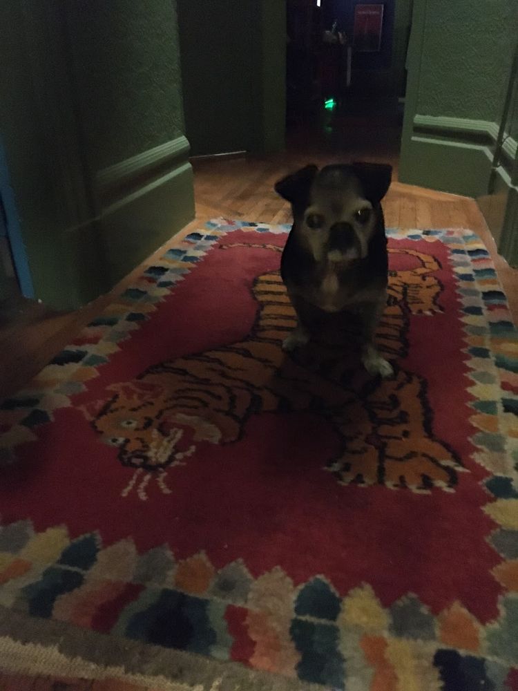 a salty chug creeping in a victorian hallway