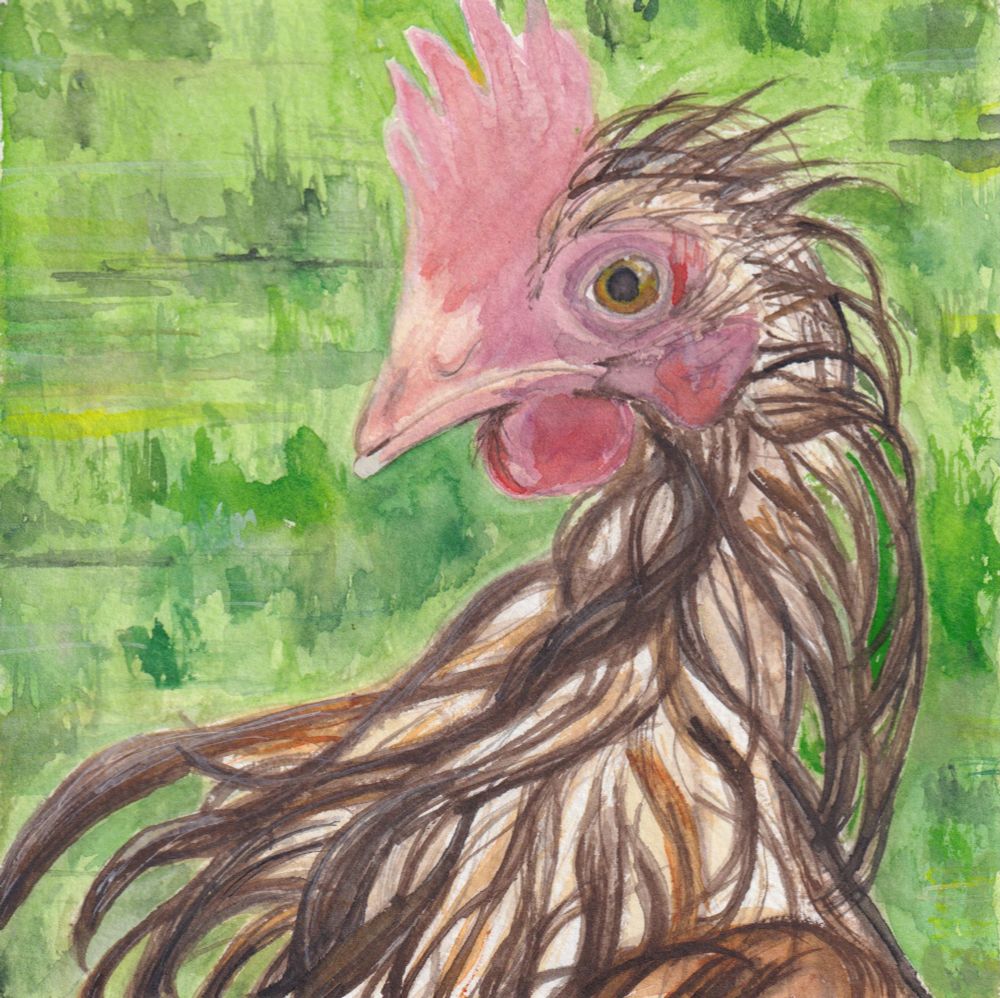 a painting of a stringy wet chicken on a green background