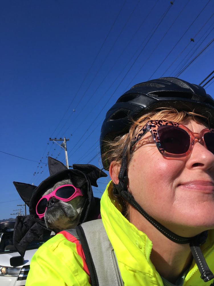 A salty chug wearing a festive black hat with bat ears and bat wings along with pink doggles in a backpack attached to Erika Hall wearing a high viz jacket and a black bike helmet on a sunny day. 