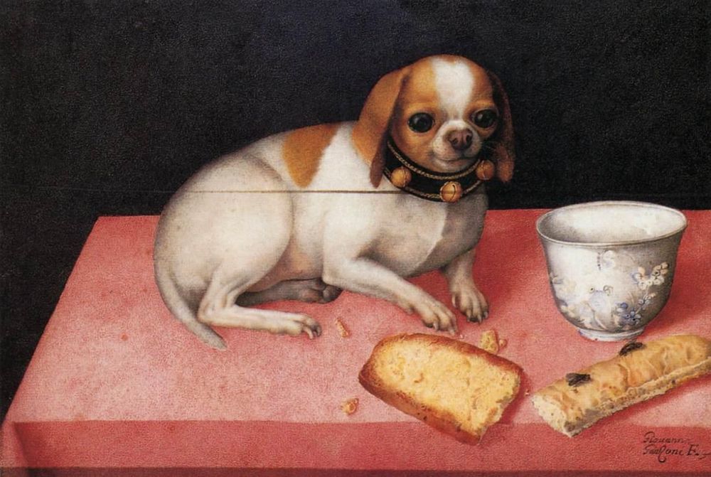 A painting of a small brown and white dog with a belled collar. Dog with a Biscuit and a Chinese Cup by Giovanna Garzoni, 1640s
