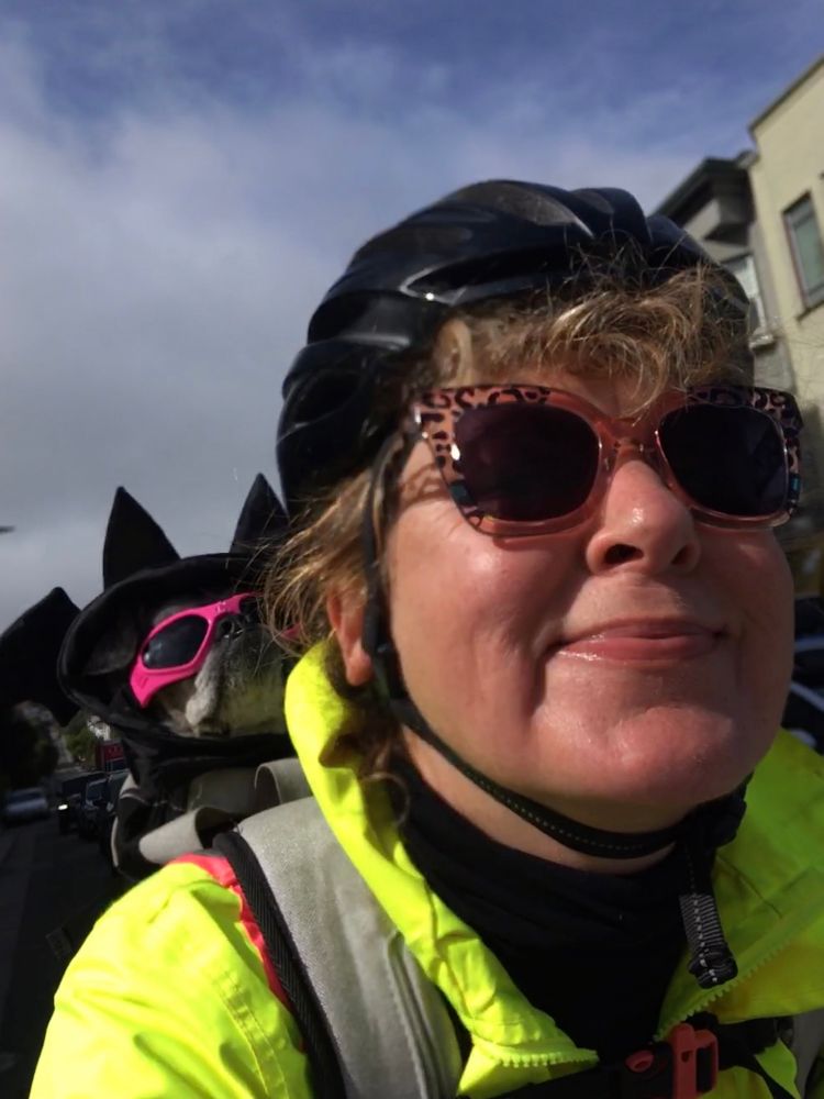 A salty chug in pink doggles and a bat hat in a bike backpack attached to a white cyclist 