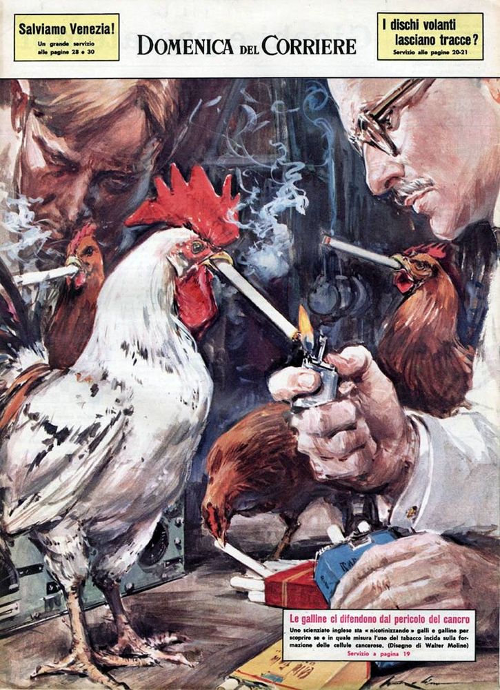 A mid 20th century Italian newspaper full color illustration of scientists lighting cigarettes for chickens to accompany an article on cancer research 