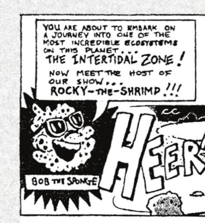 A black and white comic panel featuring Bob the Sponge (a sea sponge) saying "You are about to embark on a journey into one of the most incredible ecosystems on this planet, THE INTERTIDAL ZONE! Now meet the host of our show Rock the Shrimp!!!"