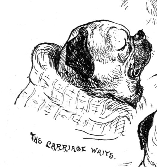 an 1860s ink drawing of a pug wearing a knit coat with its nose in the air and the caption The Carriage Waits