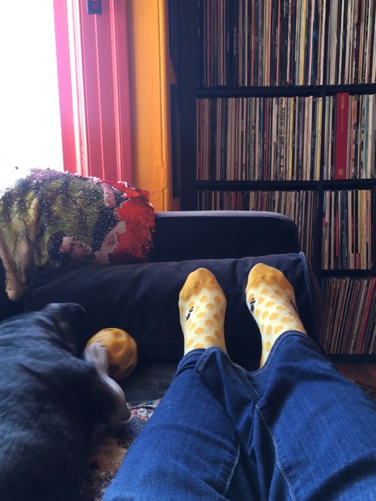 A black dog with a yellow ball and feet in yellow socks on a blue sofa with record shelves in the background. Bright light is coming in through the window. There is a sequined Jeff Goldblum throw pillow resting on the arm of the sofa. The sofa stayed dark blue for about a month. Parts of it still are. No regrets.