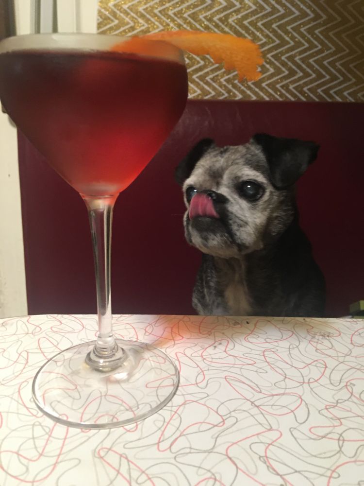 A salty chug at a diner booth table with a Negroni licking his nose