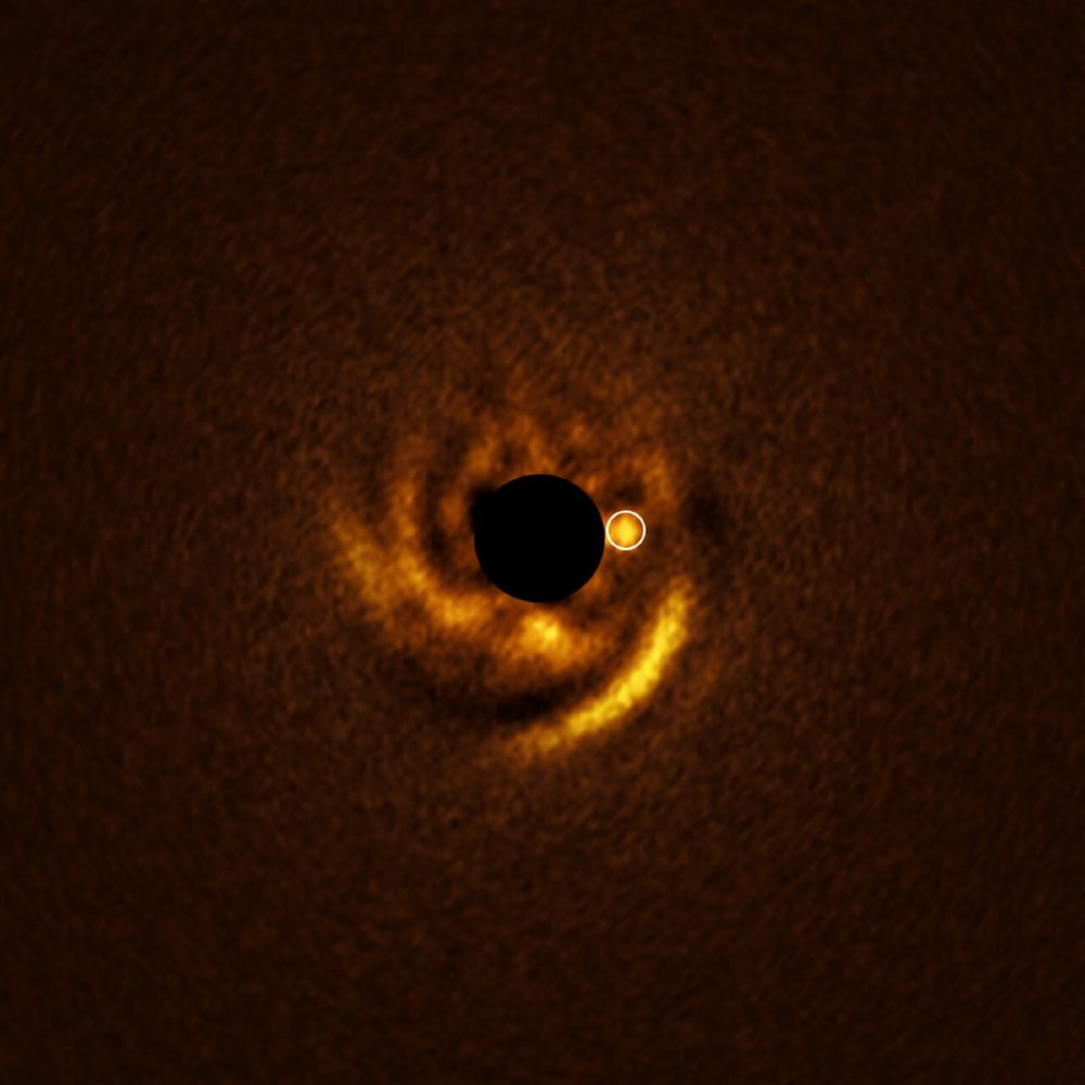 The fuzzy, yellow outline of a spiral shape. It glows more strongly towards the bottom right of the spiral, and close to the centre of the spiral, on it's right hand side, is a particular spot of light that has been circled in white to highlight it. This is the possible location of a new exoplanet candidate. The very centre of this spiral is completely black, having been removed by the instrument that took this picture.
