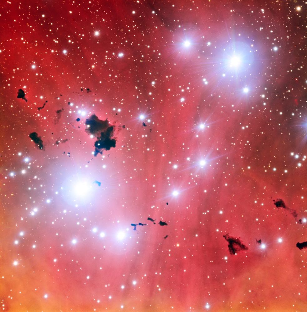 A star field set against a glowing red and orange nebula. Bright, bluish-white stars dominate the scene. Scattered throughout the image are dark, irregular-shaped clouds of gas and dust.