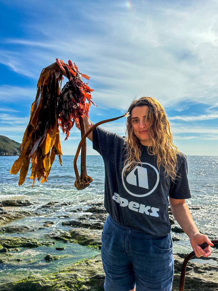 Madison standing on a rocky shore in Cornwall holding detached kelp up to the camera - L. hyperborea - and smiling.