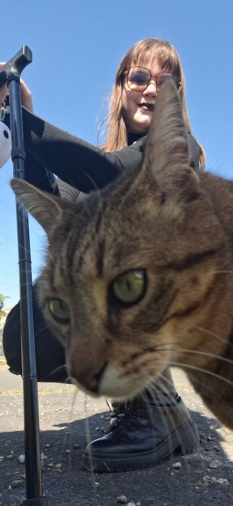 Moss, crouching using their cane while Loulou (big brown gingerish kitty) photobombs the picture.