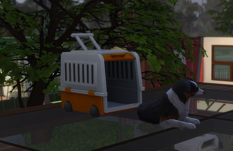 Screenshot of the Sims 4 - Border Collie on the roof of a pergola.