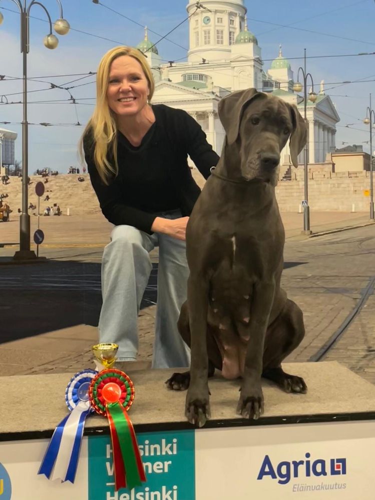 Kuvassa Elina ja tanskandoggi Hanna palkintoruusukkeiden ja -pokaalin kanssa.