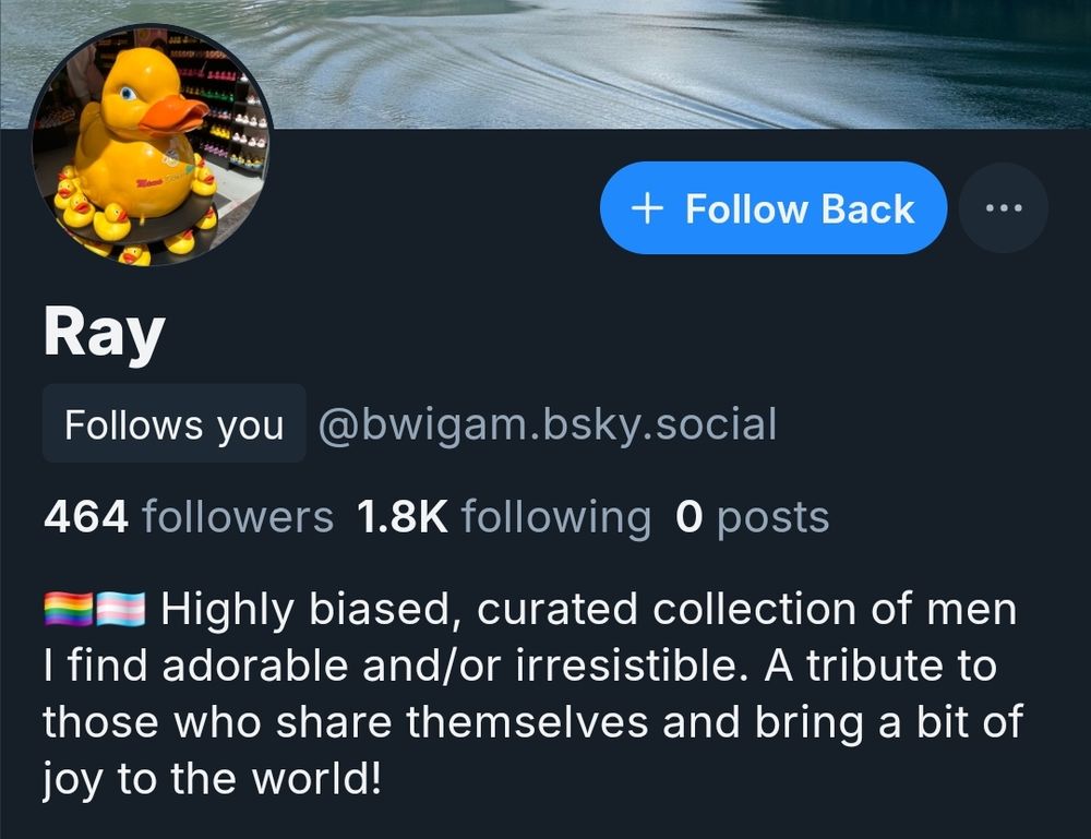 Bluesky profile of someone who has 0 posts, but curated other's pics
