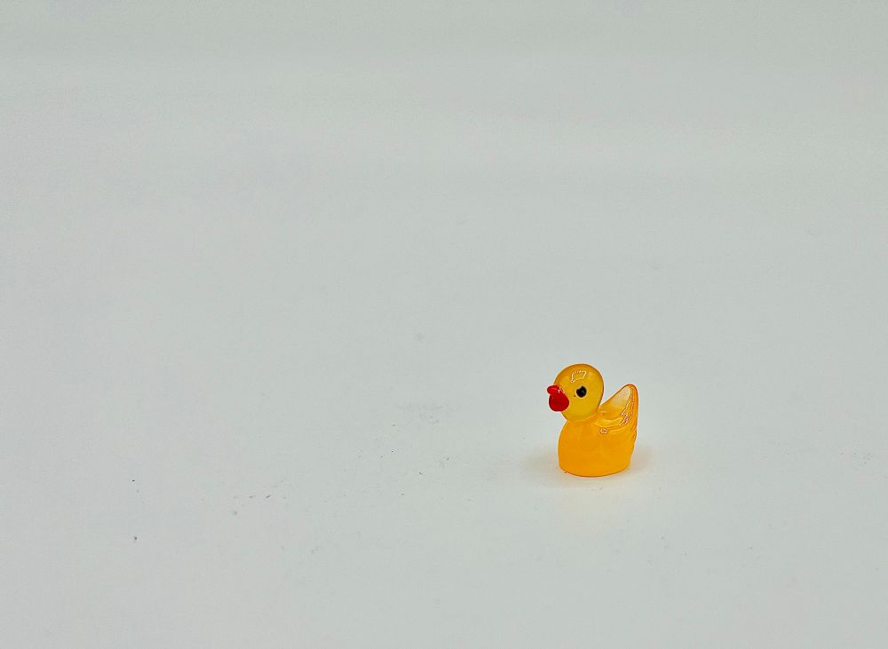 A single plastic yellow duck in a white void