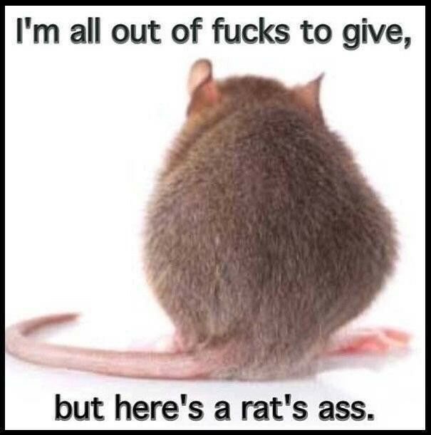 Comment image