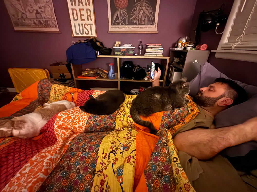 Tim laying in bed with Belle (a Jack-huahua) on his legs, Cassidy (a Russian blue) on his pelvis, and Wendell (a silver tabby) on his chest 