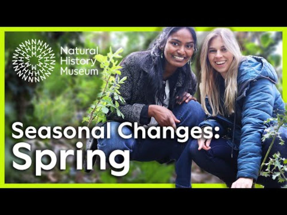 What to see in spring | Seasonal Changes
