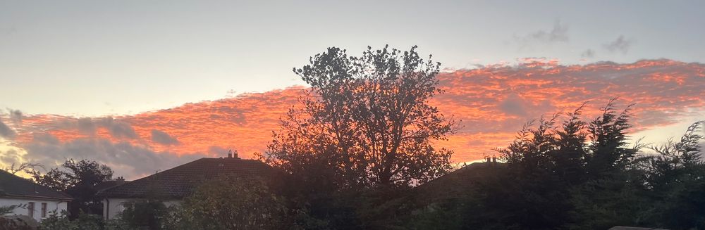Red clouds in evening sky. With bare tree silhouetted 