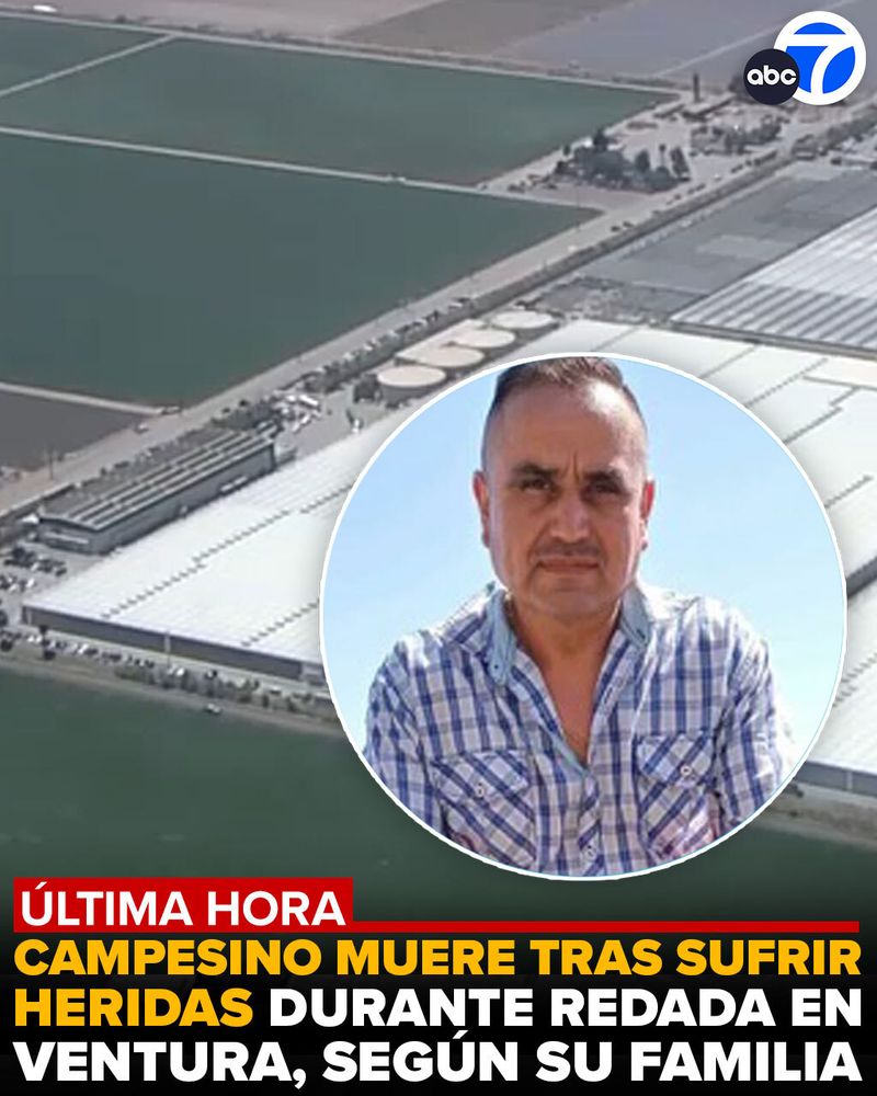 Un trabajador agrícola ha muerto a consecuencia de las heridas que sufrió durante una redada de inmigración en el condado de Ventura, según ha confirmado su familia. Jaime García se rompió el cuello y el cráneo al caerse de un edificio mientras posiblemente huía de los agentes federales.