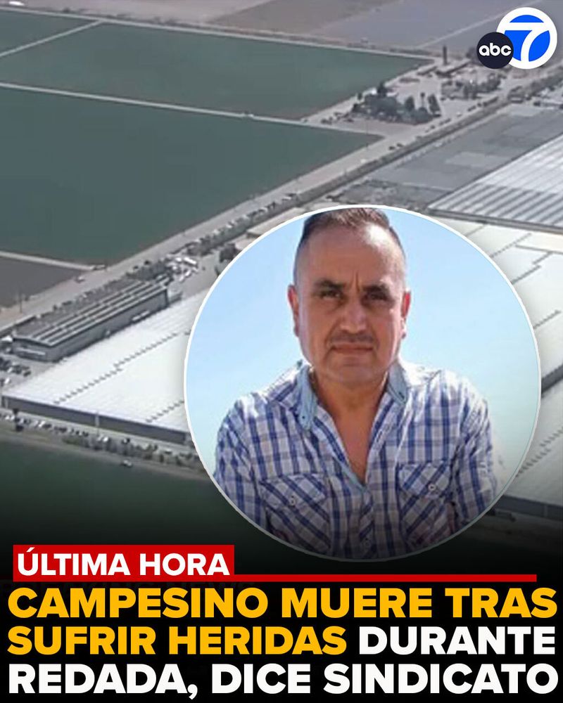 Un trabajador agrícola ha muerto tras las heridas que sufrió durante redada en el condado de Ventura, confirmó United Farm Workers. Jaime García se rompió el cuello y el cráneo después de caer de un edificio mientras posiblemente corría de los agentes federales, dijo la familia.