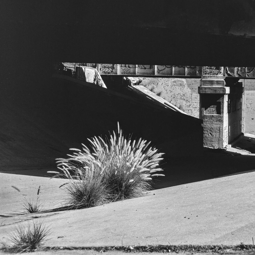 A black and white photograph of a concrete drainage infrastructure with clumps of grasses growing out of the cracks standing in stark contrast to the shadow cast by a bridge. 