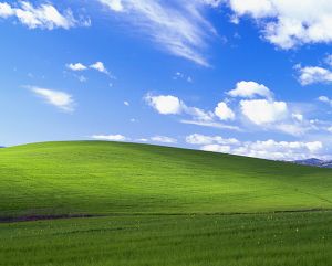 Blue sky, clouds, green grass

Windows xp background