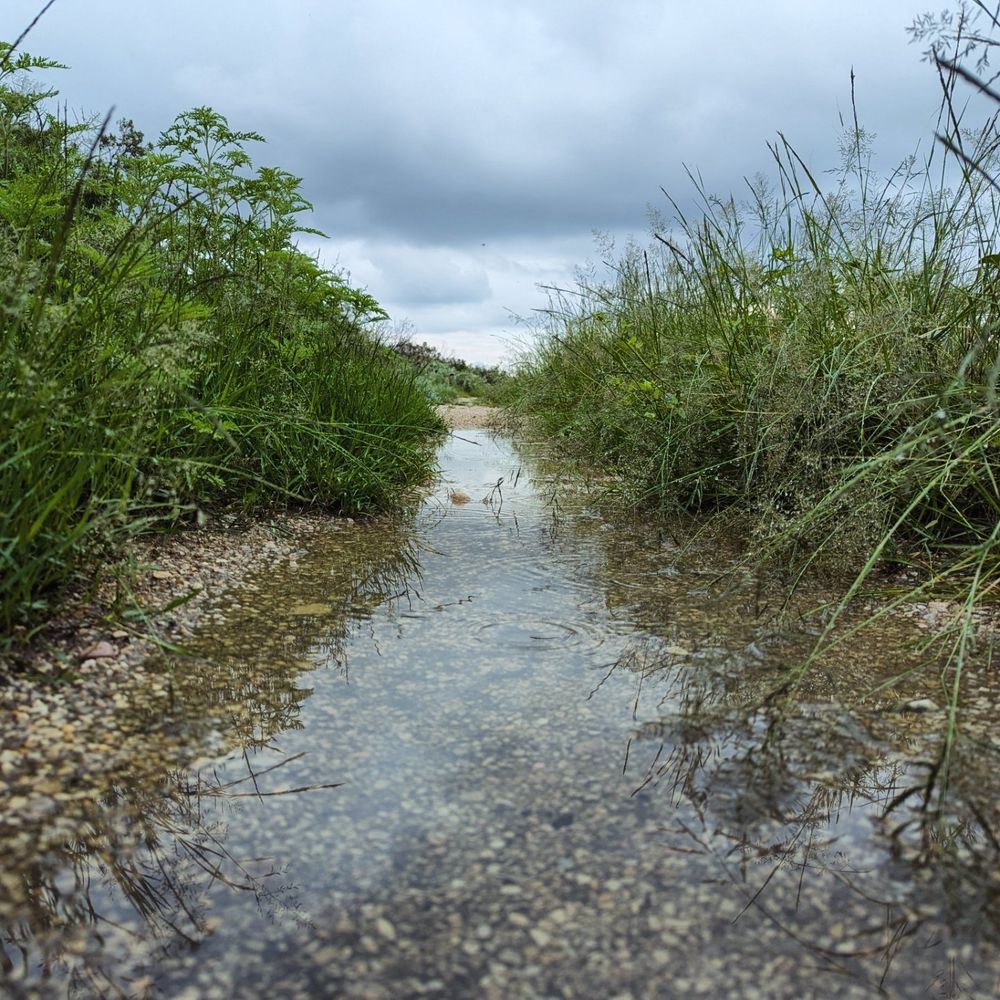 Water over the trail 