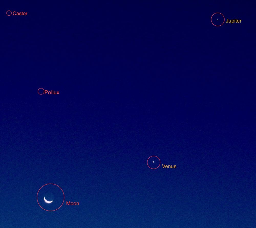 A pre-dawn sky with a crescent Moon, Venus shining nearby, and Jupiter higher up. The bright stars Castor and Pollux are also labeled in the image against a deep blue background.
明け方前の空に三日月、近くに輝く金星、そして高く位置する木星が写っている。カストルとポルックスの明るい星もラベル付きで示され、背景は濃い青空。