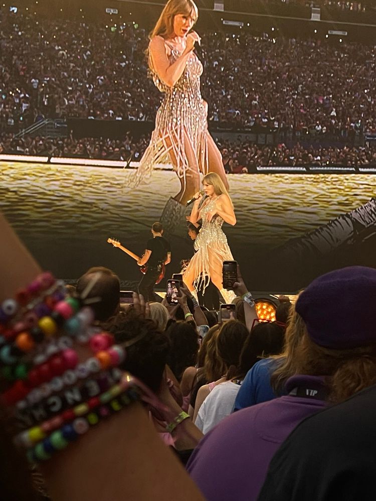 taylor swift performing at the eras tour. she’s wearing the silver noodle dress. 