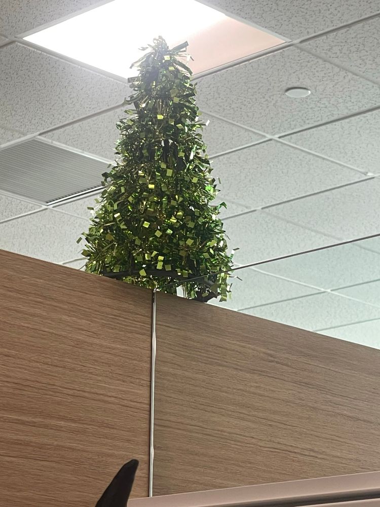 small green fuckass christmas tree looking thing on top of a wooden and plexiglass divider. white tile sealing above 