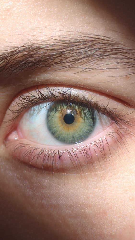 Green and brown eye