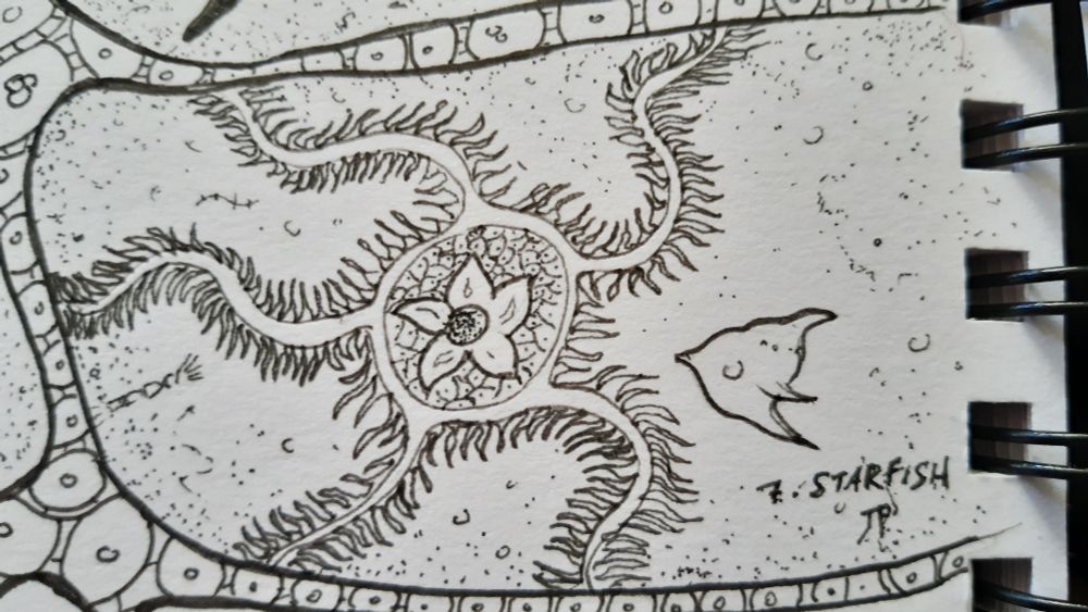 Une créature marine à 5 branches, dont s'approche un petit poisson... ou un vaisseau spatial ?