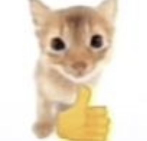 Comment image