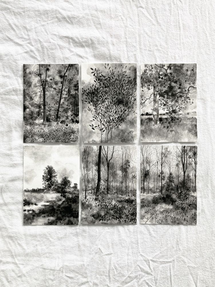Six black and white ink drawings of landscapes on top of a crinkled white sheet. 