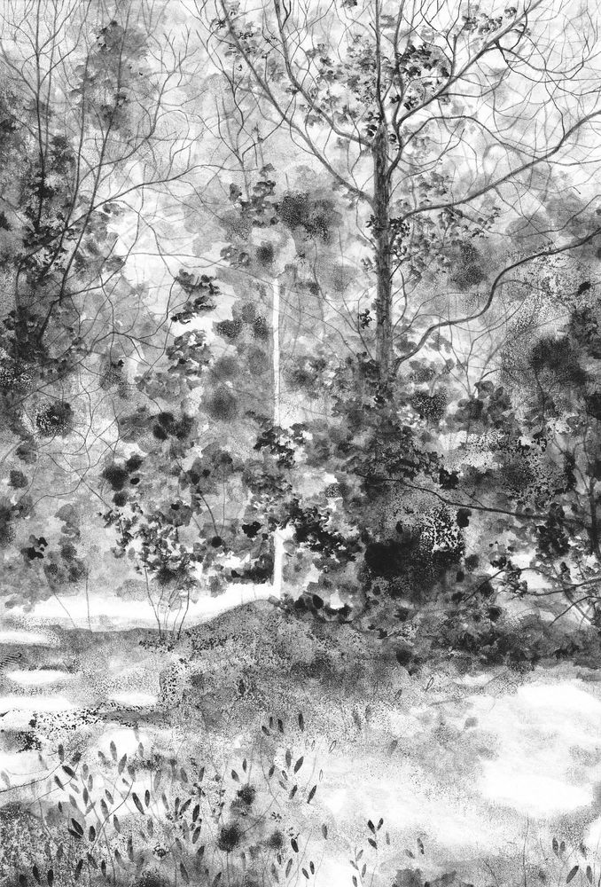 Black and white ink and brush drawing of a landcape.  