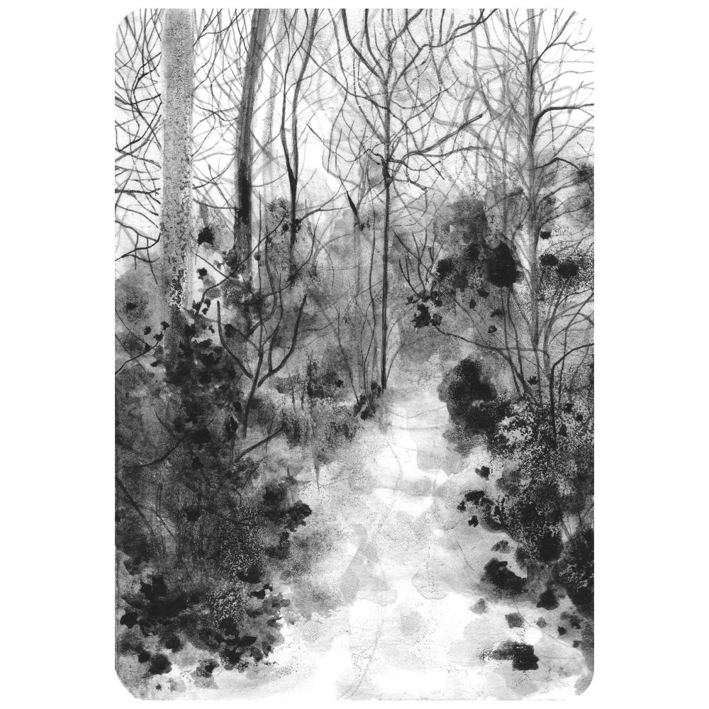 Black and white atmospheric ink drawing of a woodland landscape. 