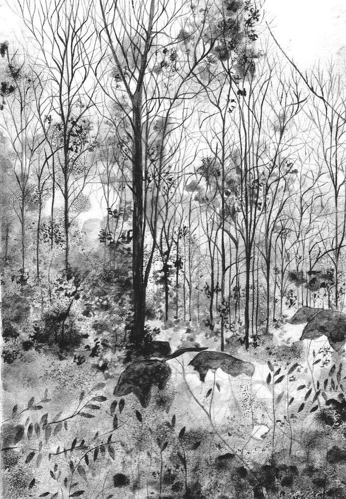 Black and white ink and brush drawing of a landcape.  