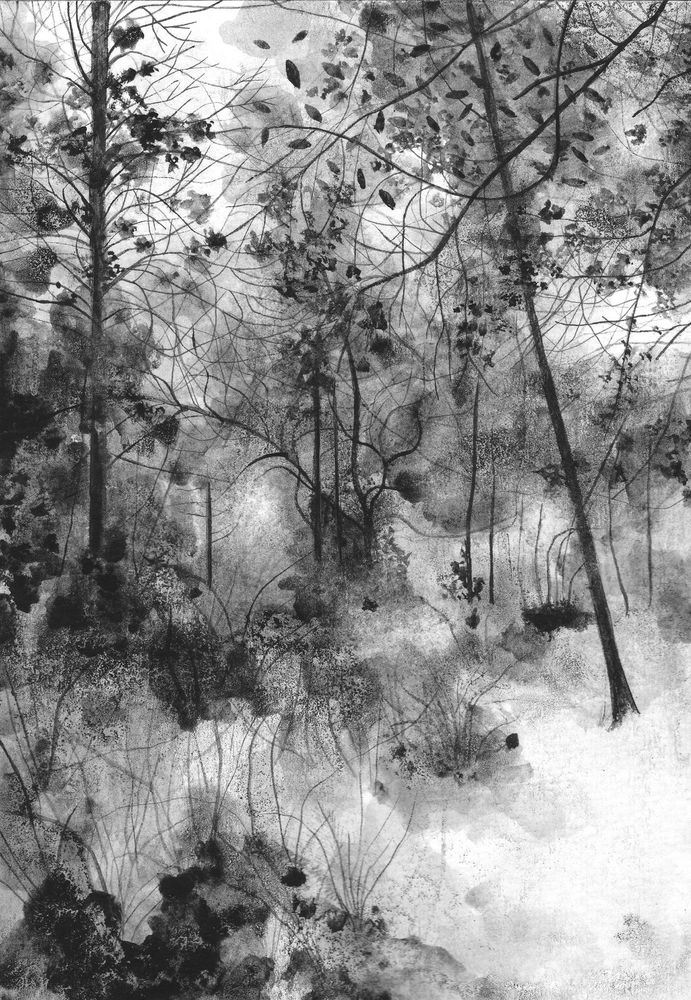 Black and white ink drawing of a woodland landscape. 
