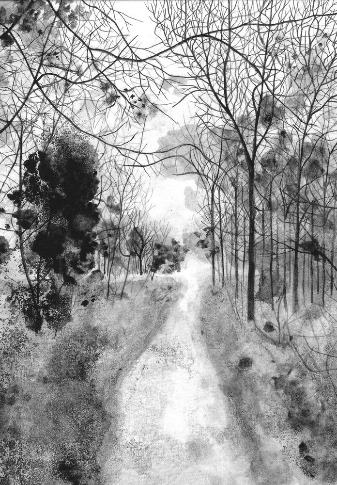 Black and white ink drawing of a woodland landscape. 