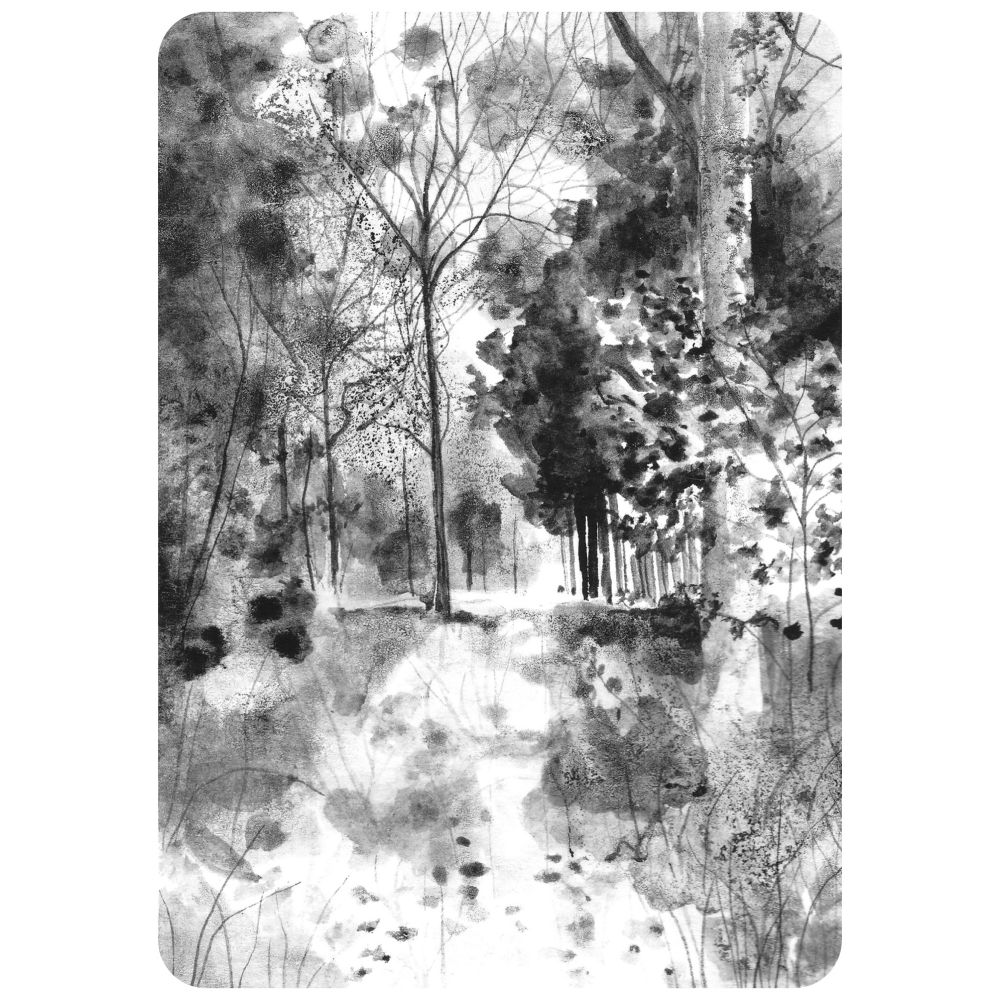 Black and white atmospheric ink drawing of a woodland landscape. 