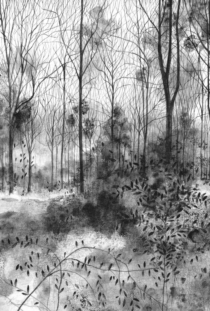 Black and white ink drawing of a woodland landscape. 