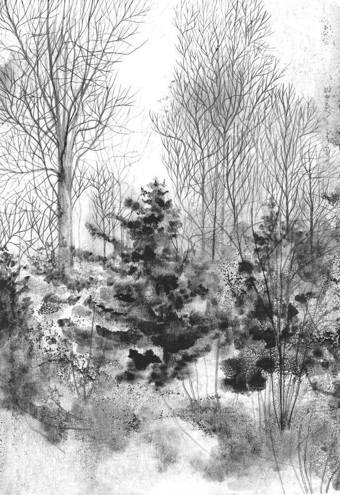 Black and white ink drawing of a woodland landscape. 