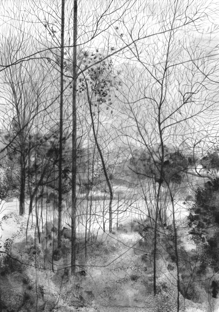 Black and white ink drawing of a landscape through trees overlooking wetland. 