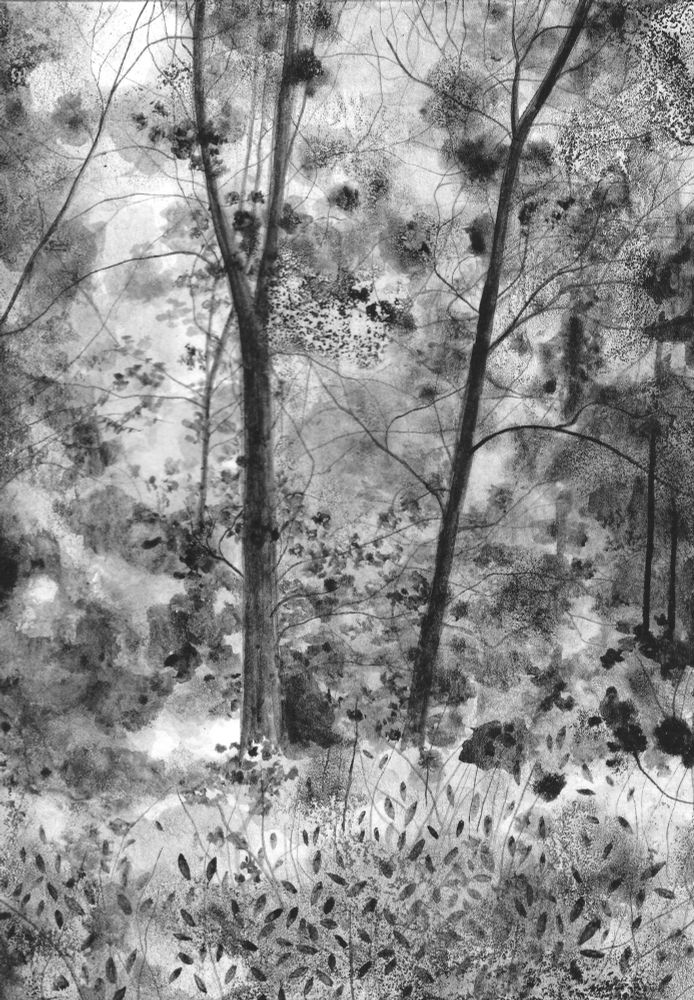 Black and white ink drawing of a woodland landscape. 