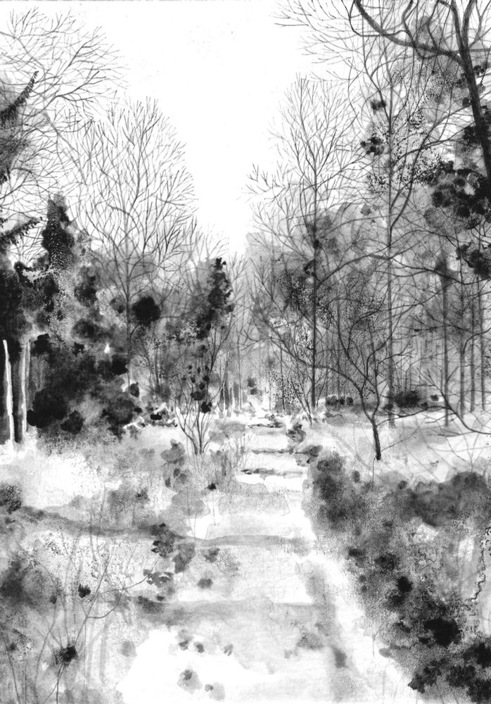 Black and white ink drawing of a woodland landscape. 